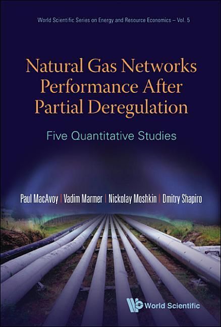 Produktbild: Natural Gas Networks Performance After Partial Deregulation: Five Quantitative Studies