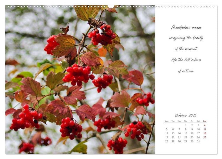 Produktbild: Golden breaks with mindfulness (Wall Calendar 2026 DIN A2 landscape), CALVENDO 12 Month Wall Calendar