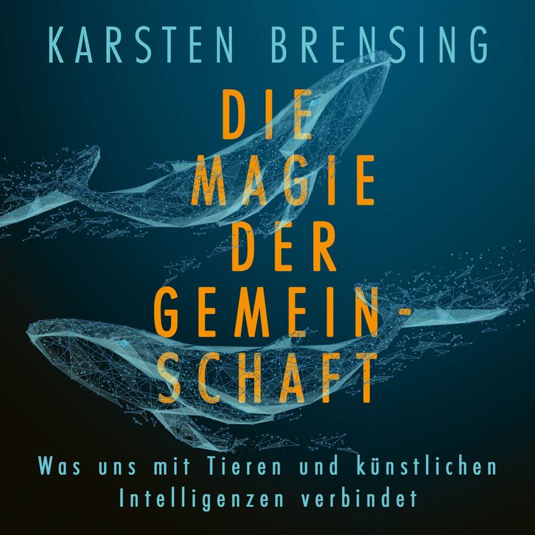 Produktbild: Die Magie der Gemeinschaft