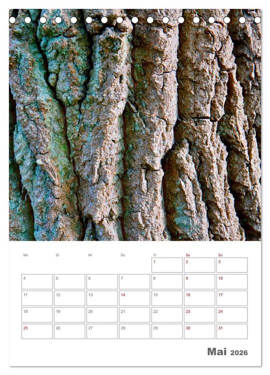 Produktbild: Planen mit dem Symbol der inneren St&auml;rke (Tischkalender 2026 DIN A5 hoch), CALVENDO Monatskalender