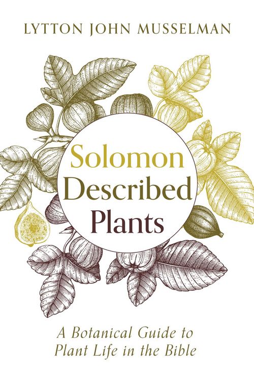Produktbild: Solomon Described Plants