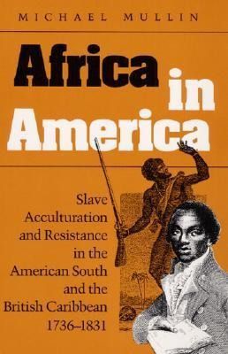 Produktbild: Mullin, M: Africa in America