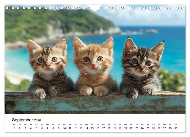 Produktbild: Katzenzauber - Samtpfoten im Jahreslauf (Wandkalender 2026 DIN A4 quer), CALVENDO Monatskalender
