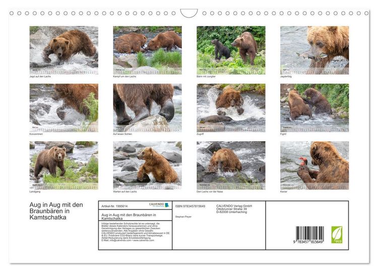 Produktbild: Aug in Aug mit den Braunb&auml;ren in Kamtschatka (Wandkalender 2026 DIN A3 quer), CALVENDO Monatskalender