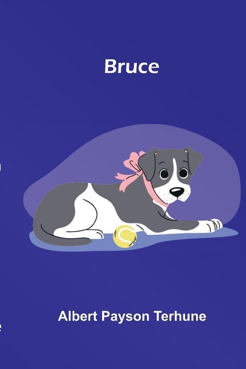 Produktbild: Bruce