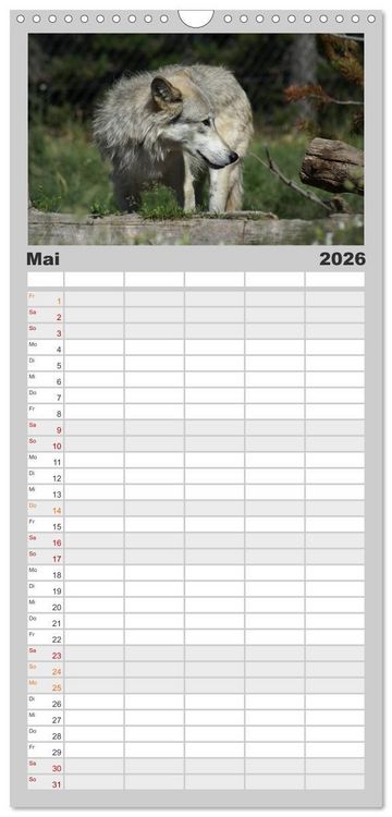 Produktbild: Familienplaner 2026 - W&ouml;lfe. Graue Eminenzen mit 5 Spalten (Wandkalender, 21 x 45 cm) CALVENDO
