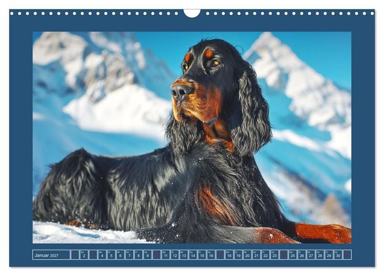 Produktbild: Gordon Setter. Edle Seelen in der Natur (Wandkalender 2027 DIN A3 quer), CALVENDO Monatskalender