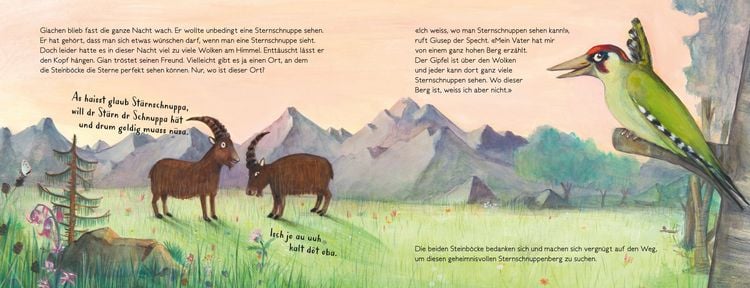 Produktbild: Gian und Giachen und der Sternschnuppenberg