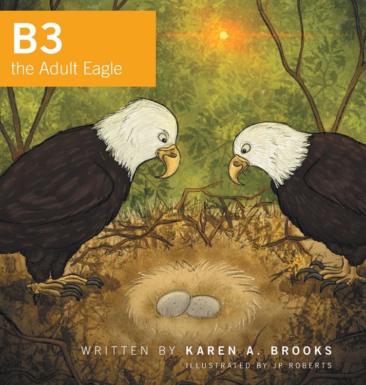 Produktbild: B3 The Adult Eagle