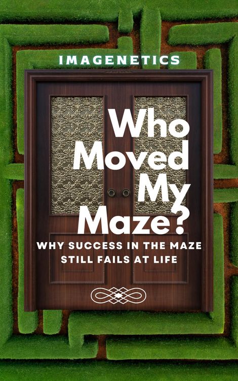 Produktbild: Who Moved My Maze?