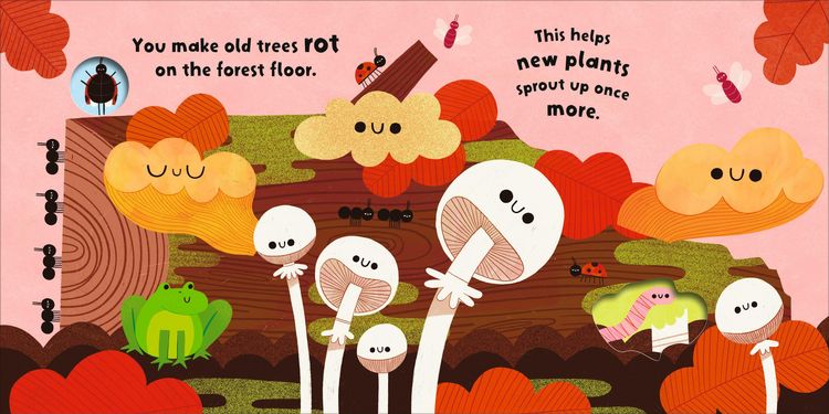 Produktbild: Fungi Friends