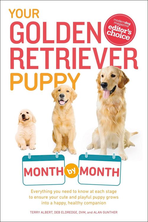 Produktbild: Your Golden Retriever Puppy Month by Month