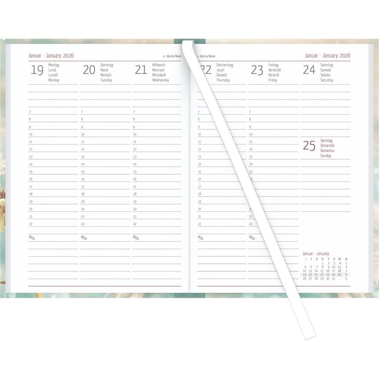 Produktbild: Campustimer Blowballs - A6 Semester-Planer - Studenten-Kalender 2025/2026 - Notiz-Buch - Weekly - Pusteblume - Alpha Edition