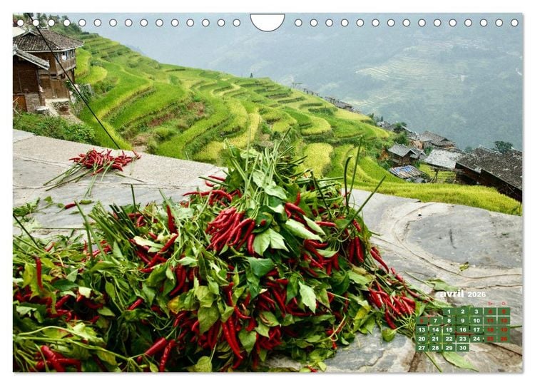 Produktbild: Riz de Chine (Calendrier mural 2026 DIN A4 vertical), CALVENDO calendrier mensuel
