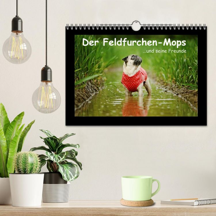 Produktbild: Der Feldfurchen-Mops (Wandkalender 2026 DIN A4 quer), CALVENDO Monatskalender