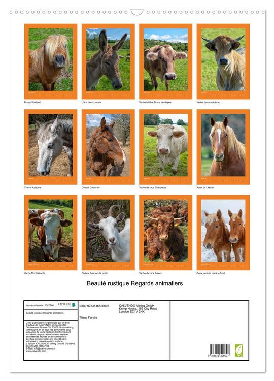 Produktbild: Beaut&eacute; rustique Regards animaliers (Calendrier mural 2026 DIN A2 horizontal), CALVENDO calendrier mensuel