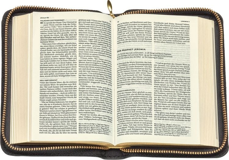 Produktbild: Lutherbibel - Senfkorn Lederausgabe mit Goldschnitt und Rei&szlig;verschluss