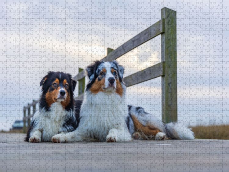 Produktbild: CALVENDO Puzzle Auf dem Holzsteg 1000 Teile Lege-Gr&ouml;&szlig;e 640 x 480 cm Foto-Puzzle Bild von Annett Mirsberger