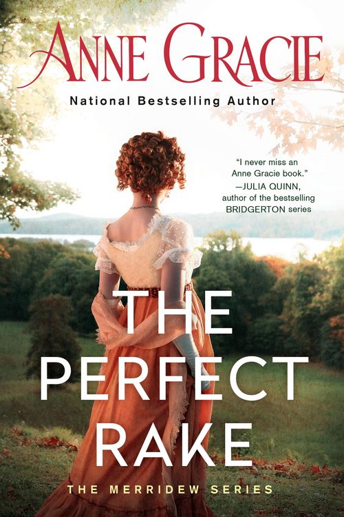 Produktbild: The Perfect Rake