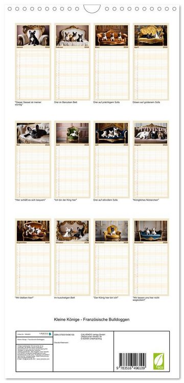 Produktbild: Familienplaner 2026 - Kleine K&ouml;nige - Franz&ouml;sische Bulldoggen mit 5 Spalten (Wandkalender, 21 x 45 cm) CALVENDO