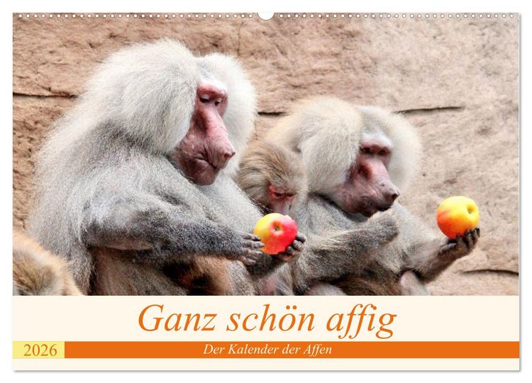 Produktbild: Ganz sch&ouml;n affig - Der Kalender der Affen (Wandkalender 2026 DIN A2 quer), CALVENDO Monatskalender