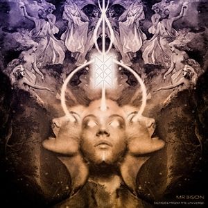 Produktbild: Echoes from the Universe