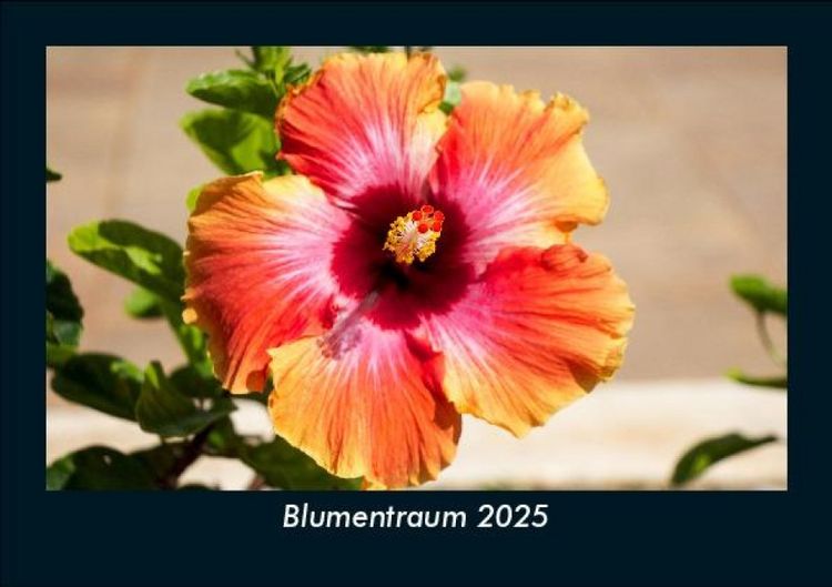 Produktbild: Blumentraum 2025 Fotokalender DIN A5