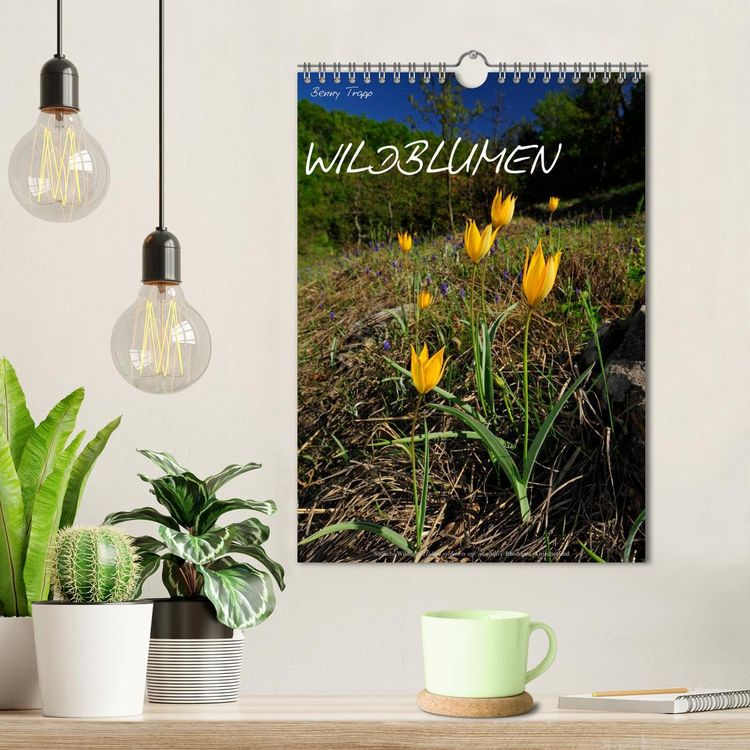 Produktbild: WILDBLUMEN (Wandkalender 2026 DIN A4 hoch), CALVENDO Monatskalender
