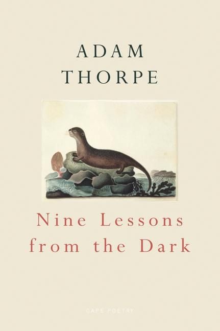 Produktbild: Nine Lessons from the Dark