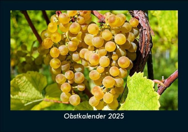 Produktbild: Obstkalender 2025 Fotokalender DIN A5