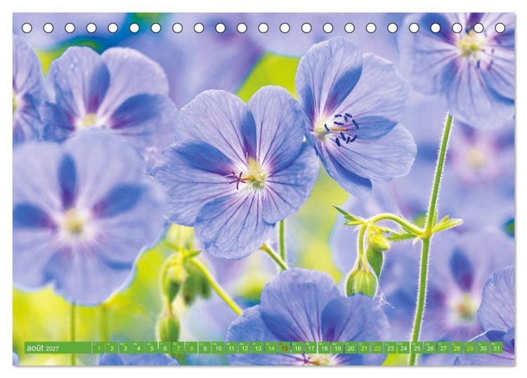 Produktbild: Fleurs du jardin aromatique (Calendrier de bureau 2027 DIN A5 vertical), CALVENDO calendrier mensuel