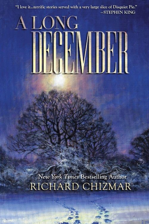 Produktbild: A Long December