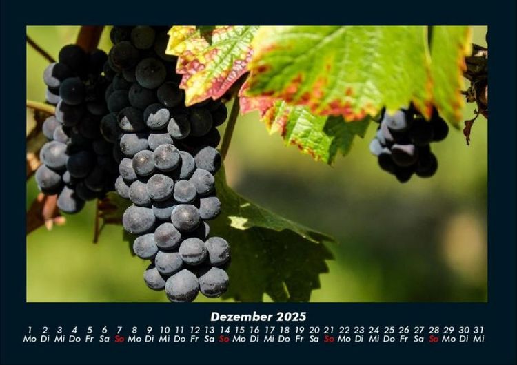 Produktbild: Fr&uuml;chte 2025 Fotokalender DIN A4