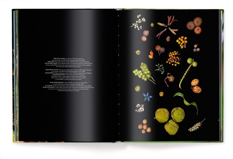 Produktbild: Jungle Spirits