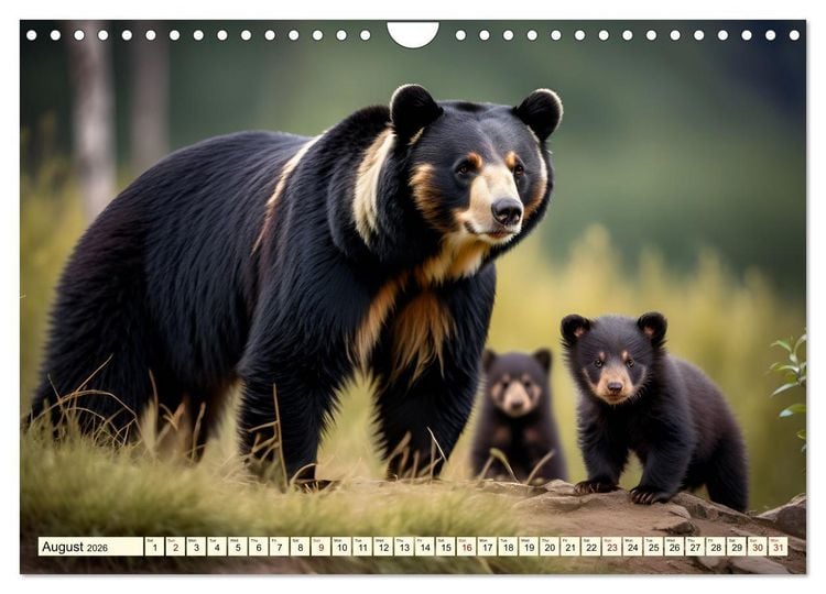 Produktbild: Small and large bears (Wall Calendar 2026 DIN A4 landscape), CALVENDO 12 Month Wall Calendar