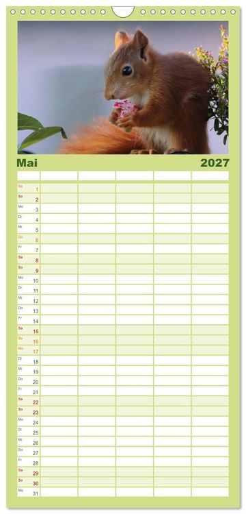 Produktbild: Familienplaner 2027 - Eichh&ouml;rnchen Kinder mit 5 Spalten (Wandkalender, 21 x 45 cm) CALVENDO