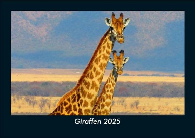 Produktbild: Giraffen 2025 Fotokalender DIN A5
