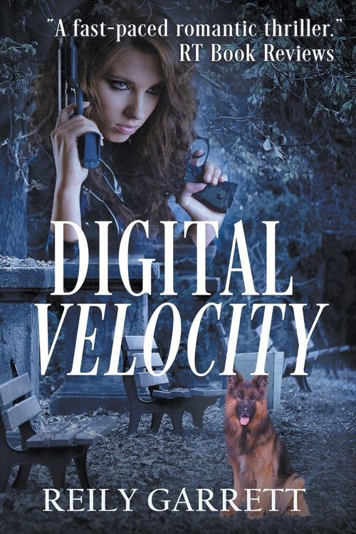 Produktbild: Digital Velocity
