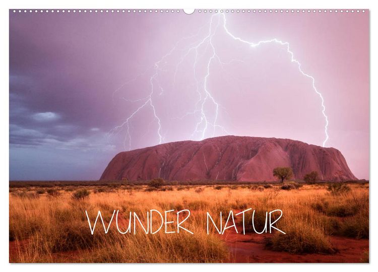 Produktbild: Wunder Natur II (Wandkalender 2026 DIN A2 quer), CALVENDO Monatskalender