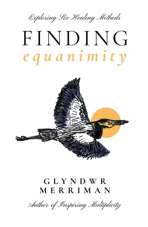 Produktbild: Finding Equanimity