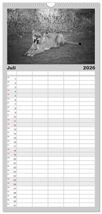 Produktbild: Familienplaner 2026 - L&ouml;wen schwarz wei&szlig; mit 5 Spalten (Wandkalender, 21 x 45 cm) CALVENDO