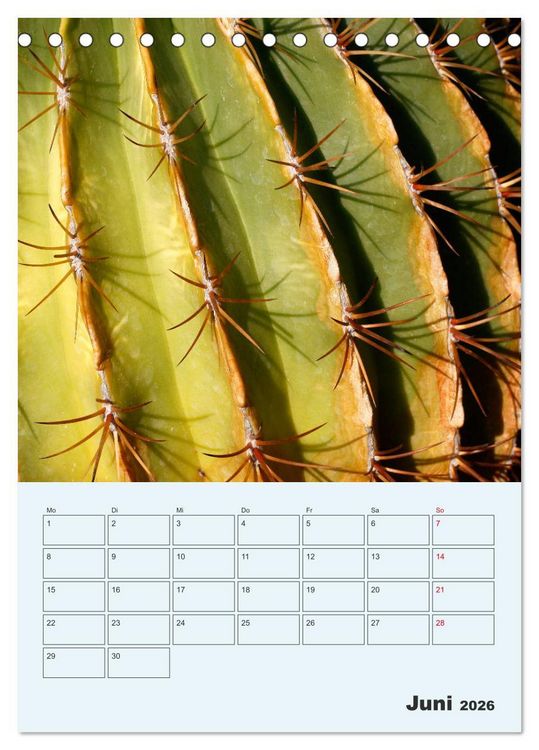 Produktbild: Wehrhafte Sukkulenten (Tischkalender 2026 DIN A5 hoch), CALVENDO Monatskalender