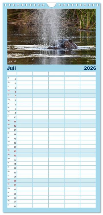Produktbild: Familienplaner 2026 - Nilpferde, Kolosse in Afrika mit 5 Spalten (Wandkalender, 21 x 45 cm) CALVENDO