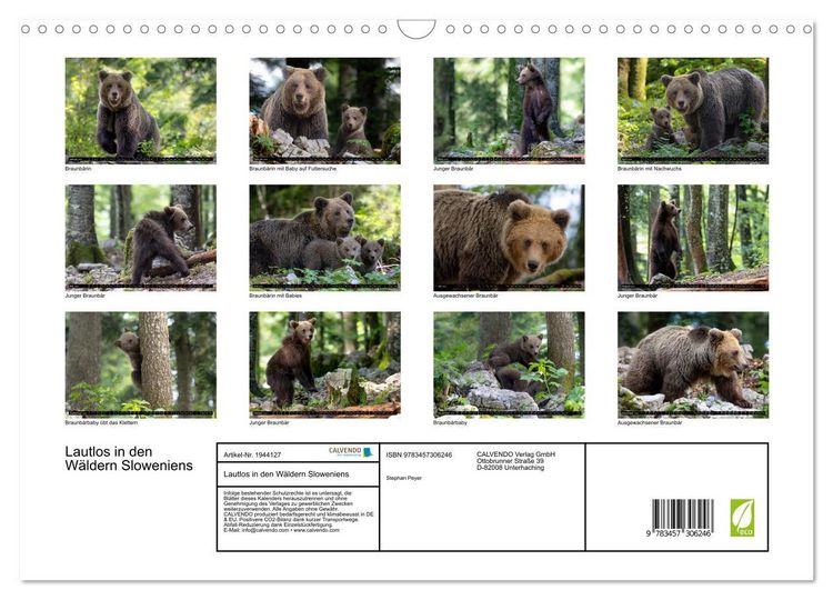 Produktbild: Lautlos in den W&auml;ldern Sloweniens (Wandkalender 2026 DIN A3 quer), CALVENDO Monatskalender