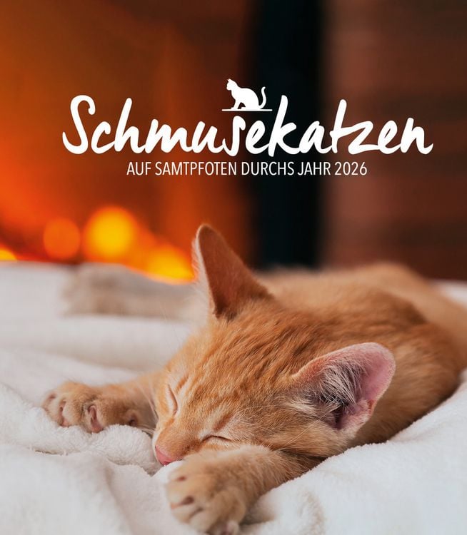 Produktbild: Diary Schmusekatzen 2026