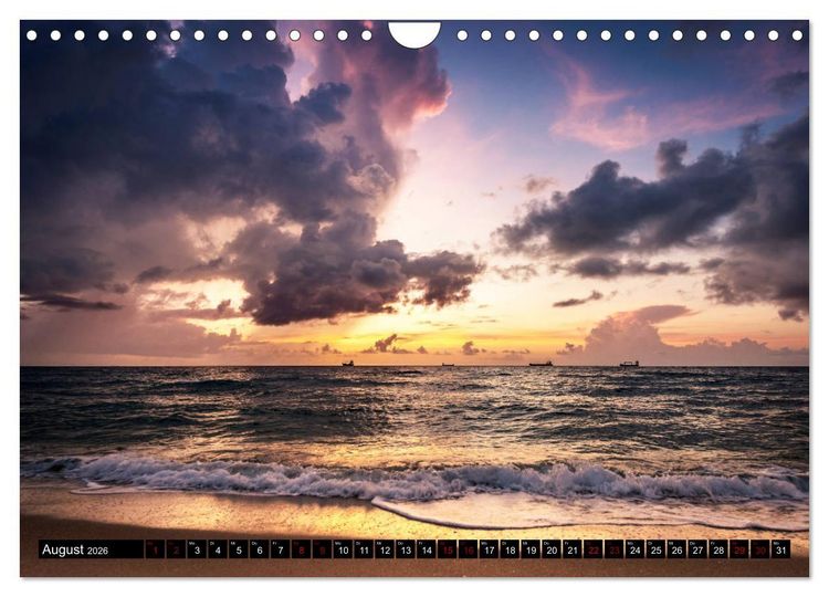 Produktbild: Florida. Der Sonne entgegen. (Wandkalender 2026 DIN A4 quer), CALVENDO Monatskalender