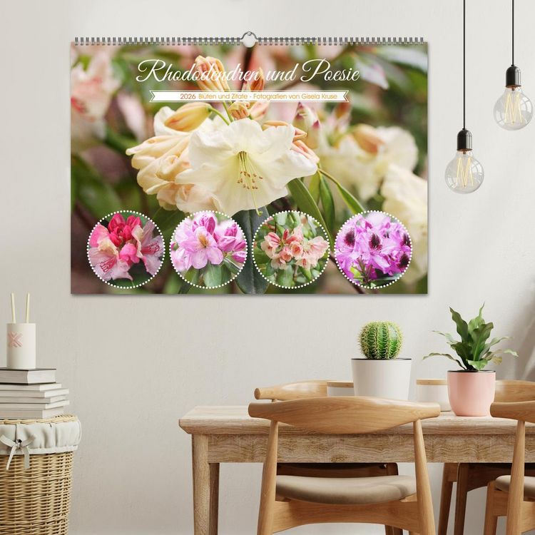Produktbild: Rhododendren und Poesie (Wandkalender 2026 DIN A2 quer), CALVENDO Monatskalender
