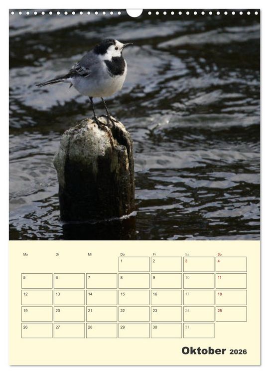 Produktbild: Vogelwelt an der Sieg (Wandkalender 2026 DIN A3 hoch), CALVENDO Monatskalender
