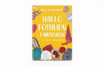 Produktbild: Hallo Fossilien & Muscheln