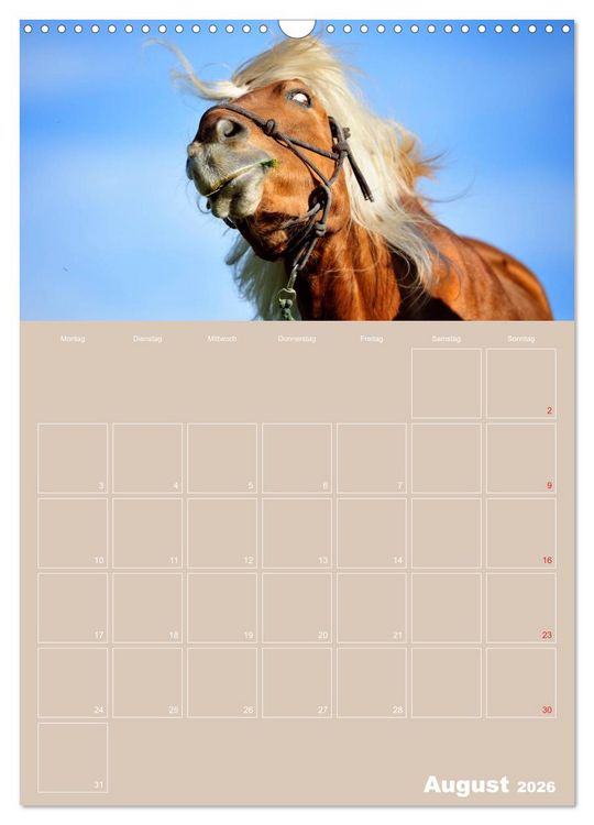 Produktbild: Pferde / Planer (Wandkalender 2026 DIN A3 hoch), CALVENDO Monatskalender